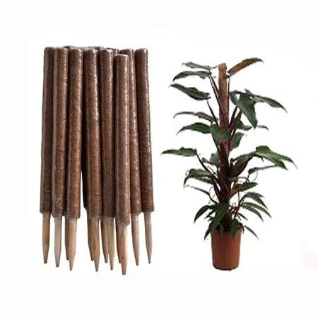 Stackable Coir Moss Pole Plastic 24 Pulzier