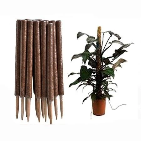 Stackable Coir Moss Pole Factory