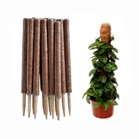Stackable Coir Moss Pole for Plants Support